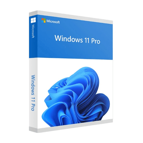 Microsoft Windows 11 Pro